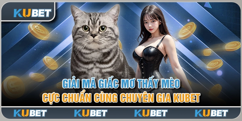 Giải Mã Giấc Mơ Thấy Mèo